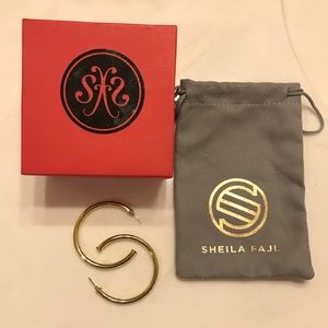 Sheila Fajl Everybody’s Favorite Small Hoops